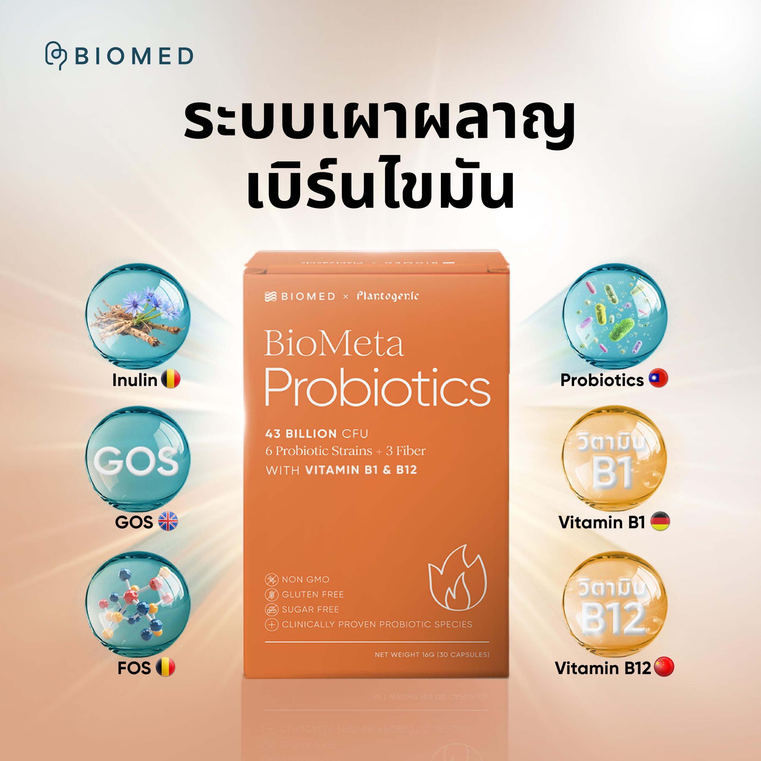 BioMeta Probiotics - Image 4