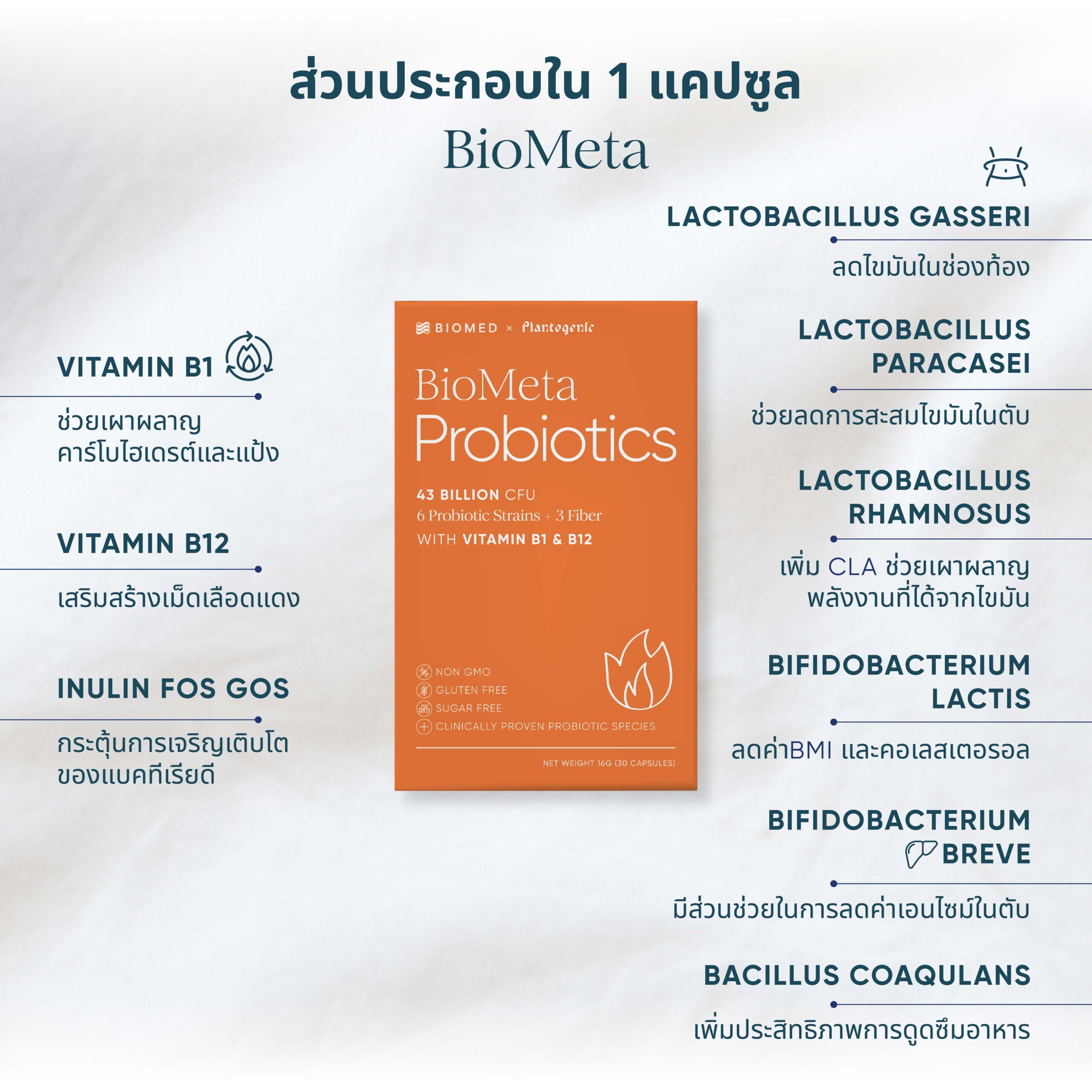 BioMeta Probiotics - Image 5